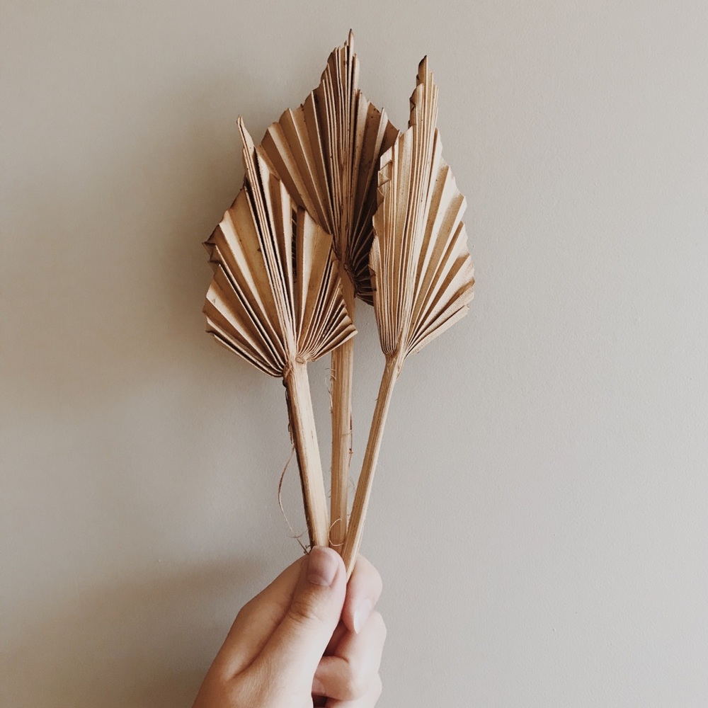 Dried Palm Leaves